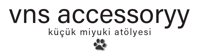 VNS ACCESSORYY Logo